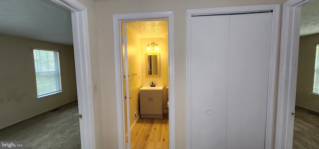 corridor featuring a textured ceiling, sink, and light carpet