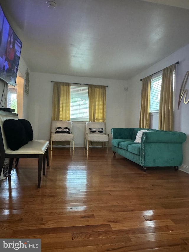 living room with wood-type flooring