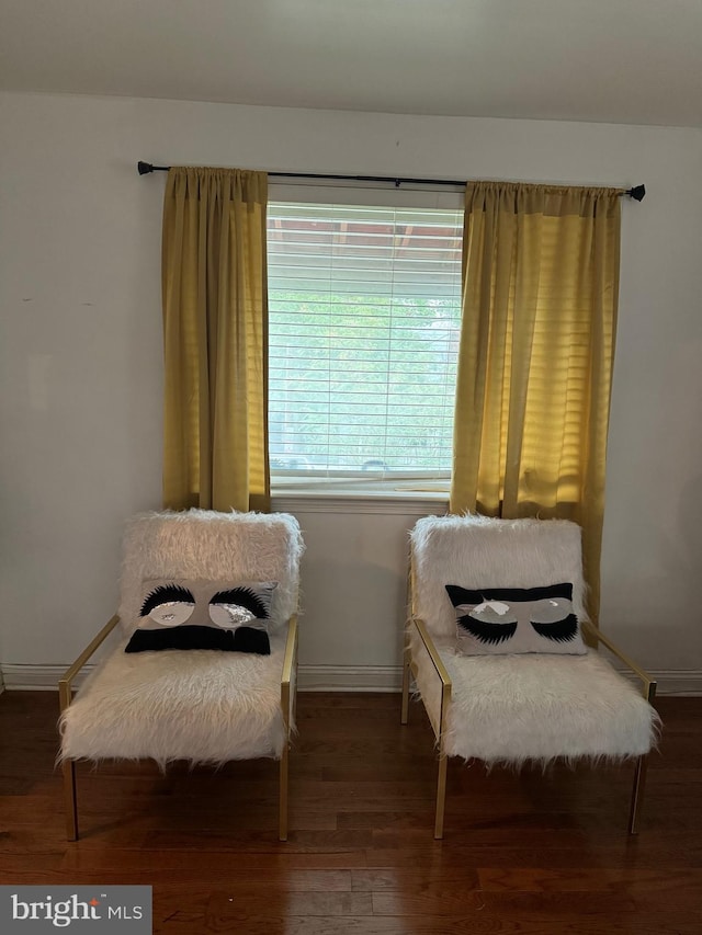 sitting room featuring dark hardwood / wood-style flooring