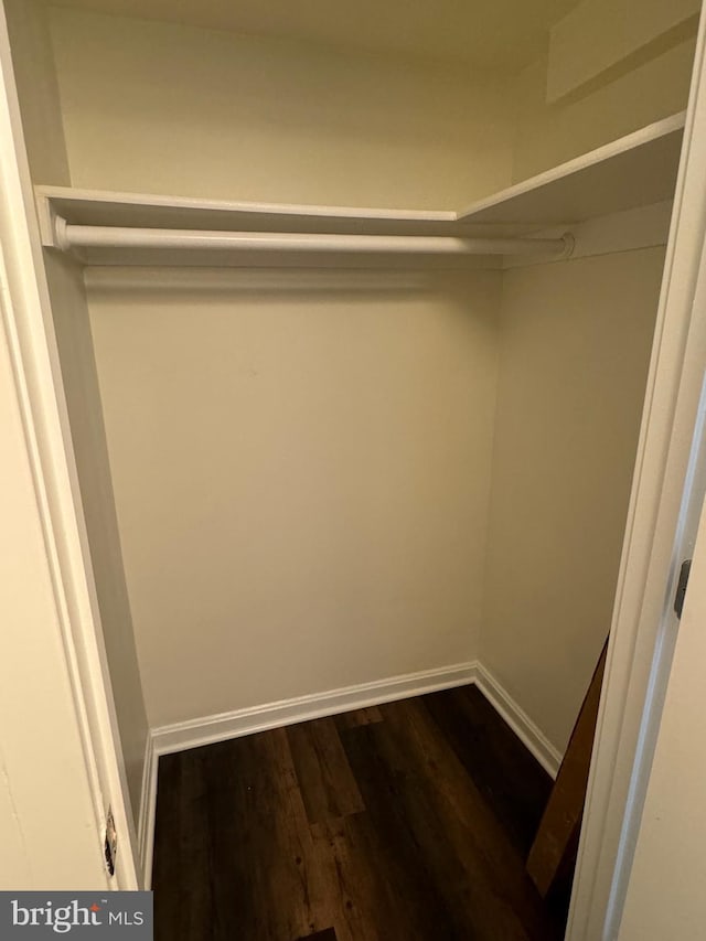 spacious closet featuring hardwood / wood-style floors