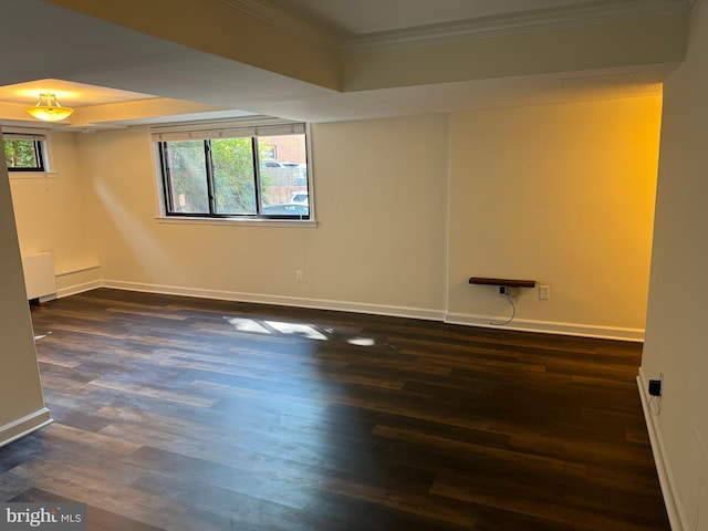 spare room featuring ornamental molding, a wealth of natural light, and dark hardwood / wood-style flooring