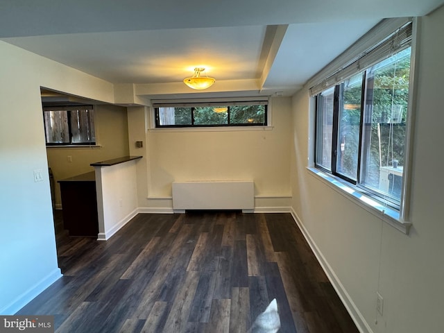 interior space with radiator and dark hardwood / wood-style floors