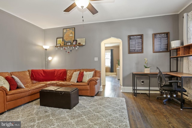 living room with ceiling fan, dark hardwood / wood-style flooring, and crown molding