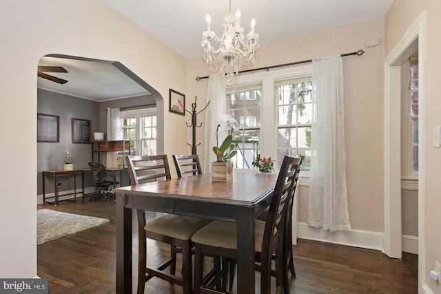 dining room with ornamental molding, dark hardwood / wood-style floors, and ceiling fan with notable chandelier