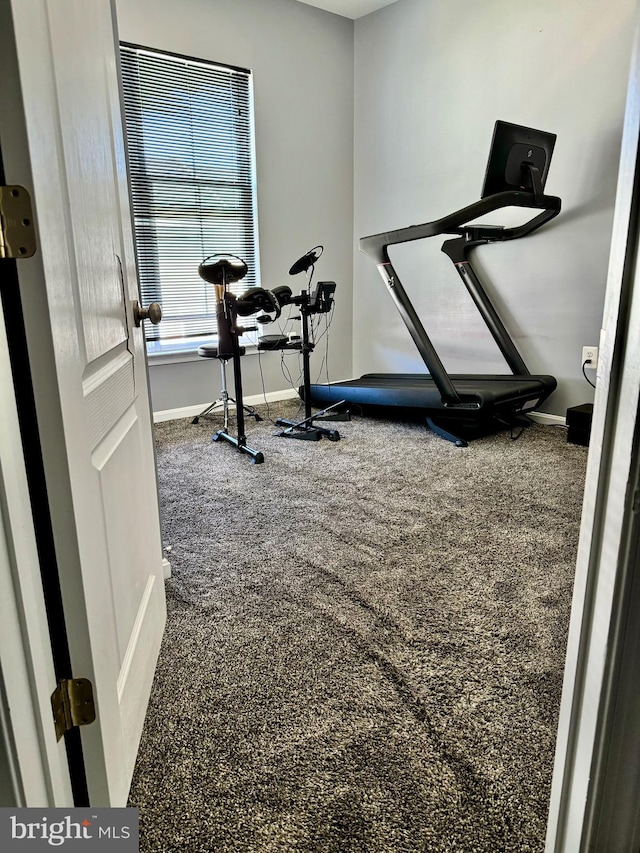 exercise room featuring carpet