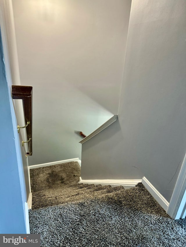 staircase featuring carpet flooring