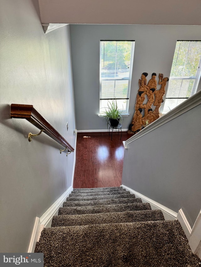 stairs with hardwood / wood-style floors