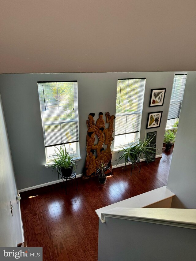 unfurnished office featuring plenty of natural light, dark hardwood / wood-style flooring, and vaulted ceiling