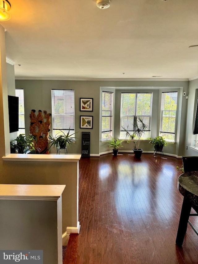 interior space featuring dark hardwood / wood-style floors and crown molding