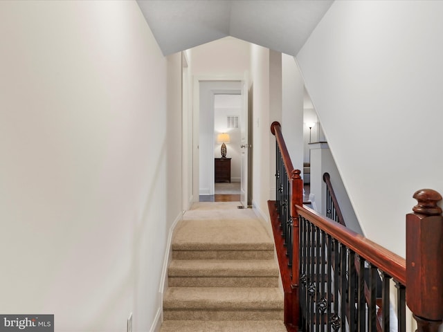 staircase with carpet floors and vaulted ceiling