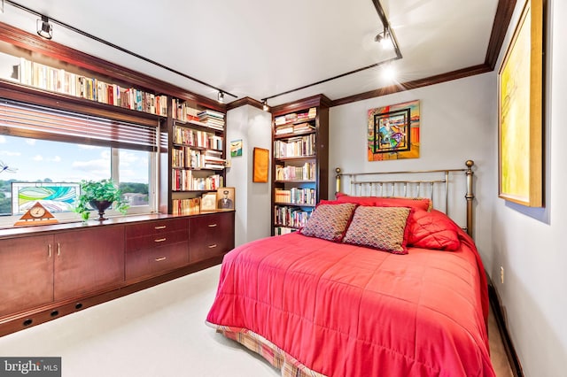 bedroom with rail lighting and ornamental molding