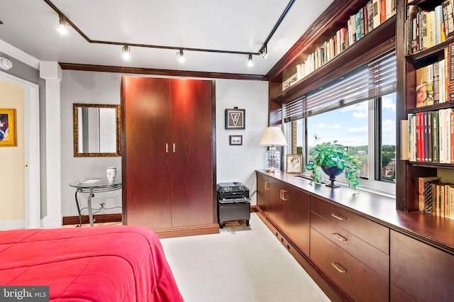 bedroom featuring ornamental molding and track lighting