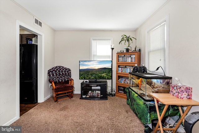 sitting room with crown molding and carpet