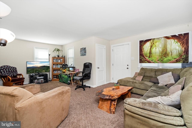 living room with carpet