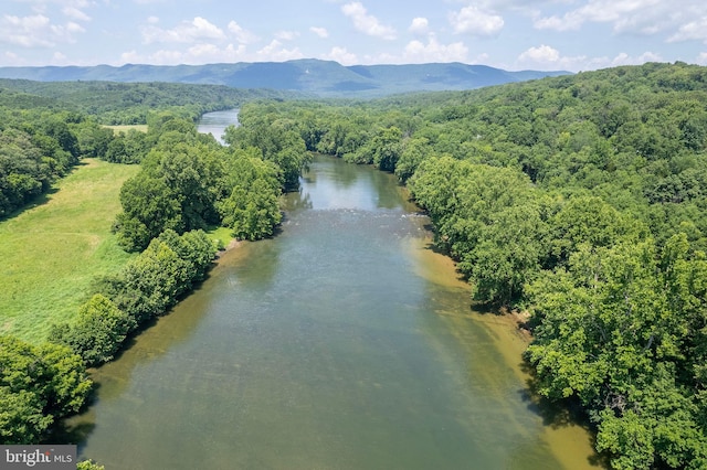 1159 Stoney Bottom Rd, Front Royal, VA 22630 - drone / aerial view of a mountain backdrop and a heavily wooded area