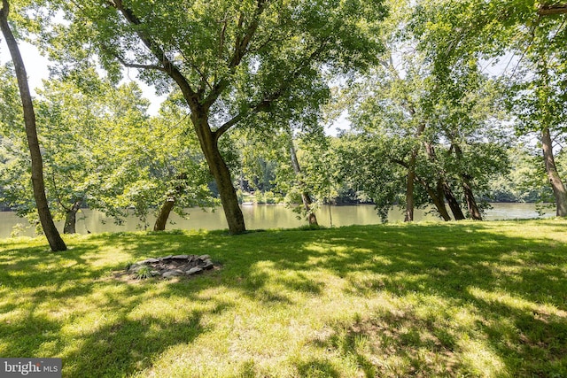 1159 Stoney Bottom Rd, Front Royal, VA 22630 - view of grassy yard with a water view