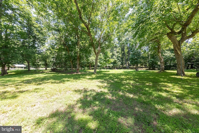 1159 Stoney Bottom Rd, Front Royal, VA 22630 - view of grassy yard