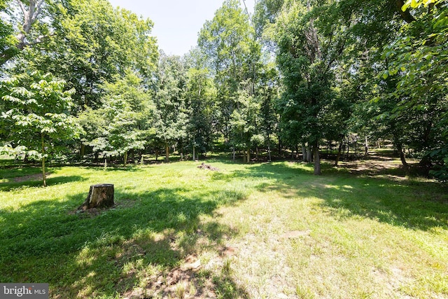 1159 Stoney Bottom Rd, Front Royal, VA 22630 - view of grassy yard