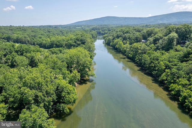 1159 Stoney Bottom Rd, Front Royal, VA 22630 - drone / aerial view of a water and mountain view and a heavily wooded area