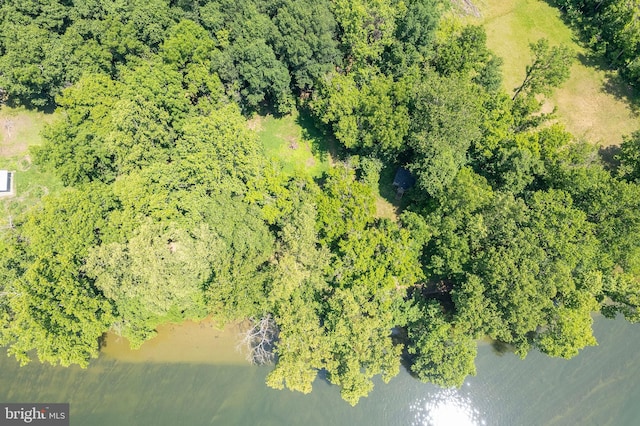 1159 Stoney Bottom Rd, Front Royal, VA 22630 - aerial view of a heavily wooded area and a large body of water