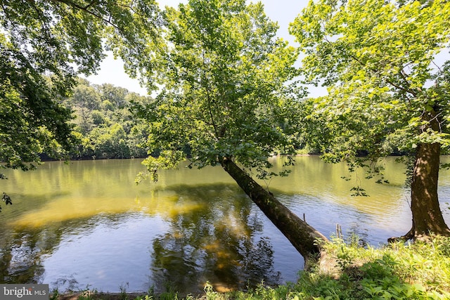 1159 Stoney Bottom Rd, Front Royal, VA 22630 - water view