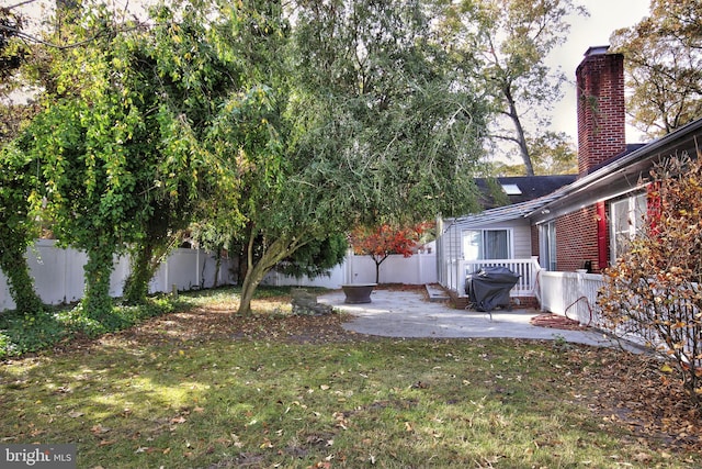 view of yard featuring a patio area