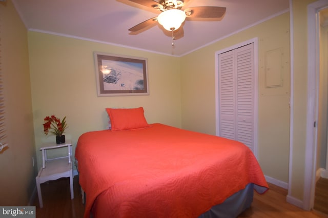 bedroom featuring crown molding, a closet, ceiling fan, and hardwood / wood-style floors