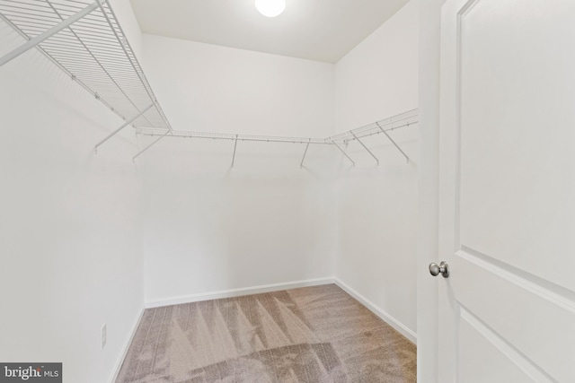 spacious closet with carpet flooring