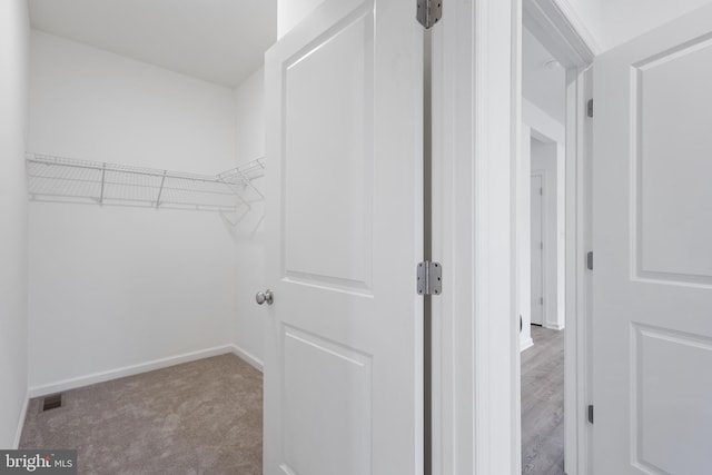 walk in closet featuring visible vents and carpet