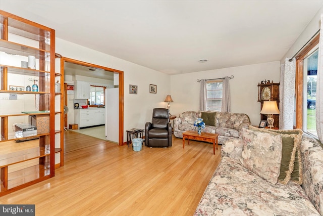 living room featuring wood-type flooring