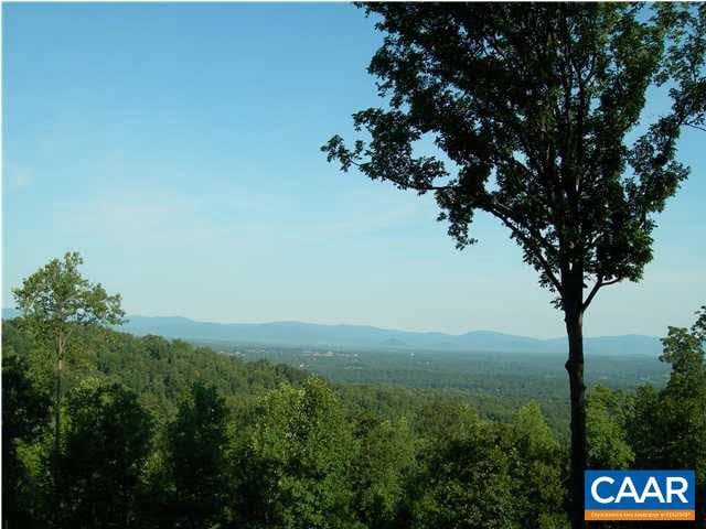 mountain view with a forest view