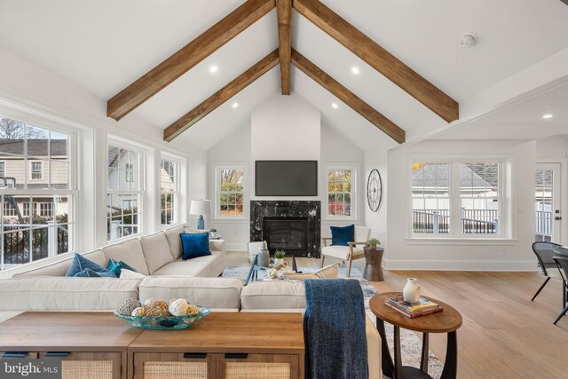 living room with plenty of natural light, light hardwood / wood-style floors, and a premium fireplace