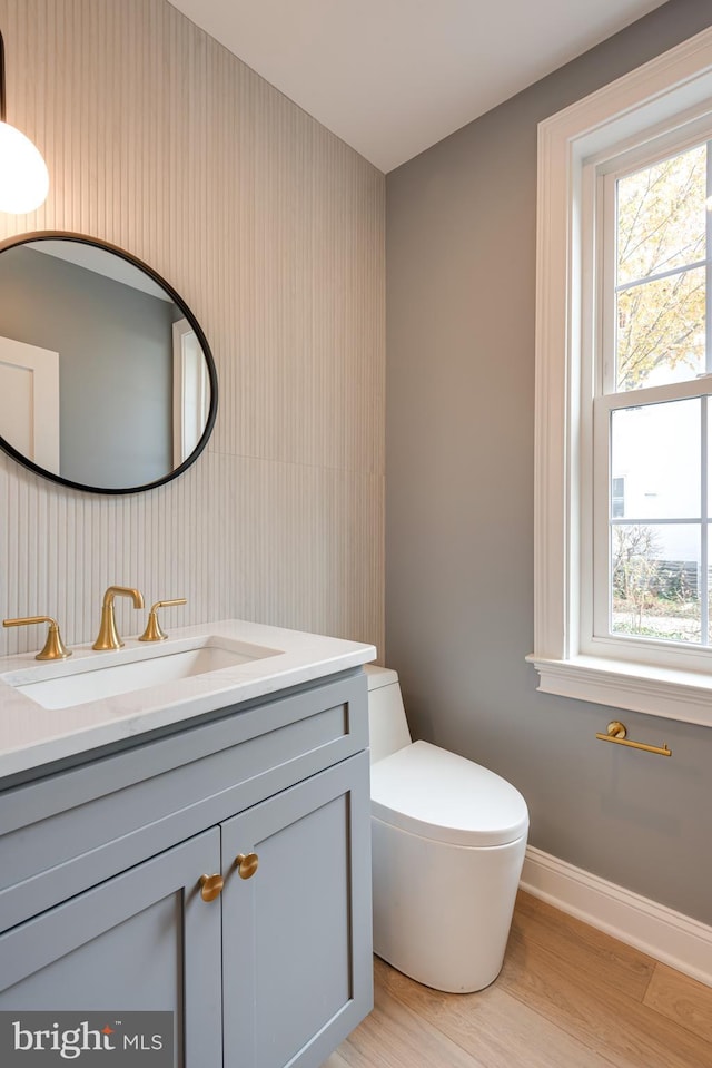 bathroom featuring vanity, wood-type flooring, and toilet