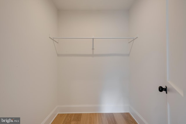 walk in closet featuring light hardwood / wood-style floors