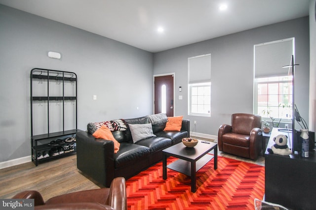 living room featuring hardwood / wood-style flooring