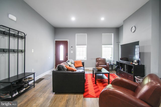 living room featuring hardwood / wood-style flooring