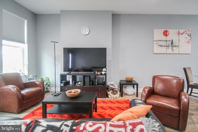 living room with hardwood / wood-style floors