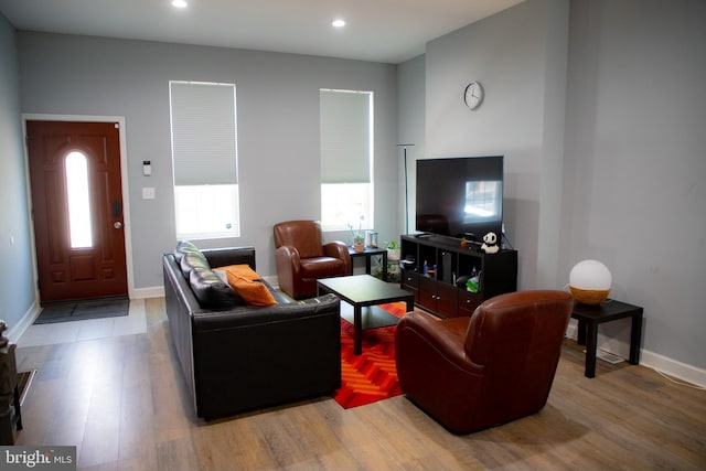 living room with hardwood / wood-style flooring