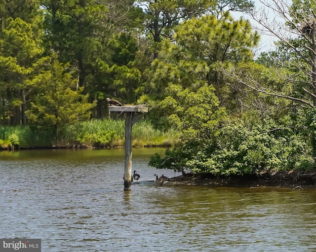 property view of water