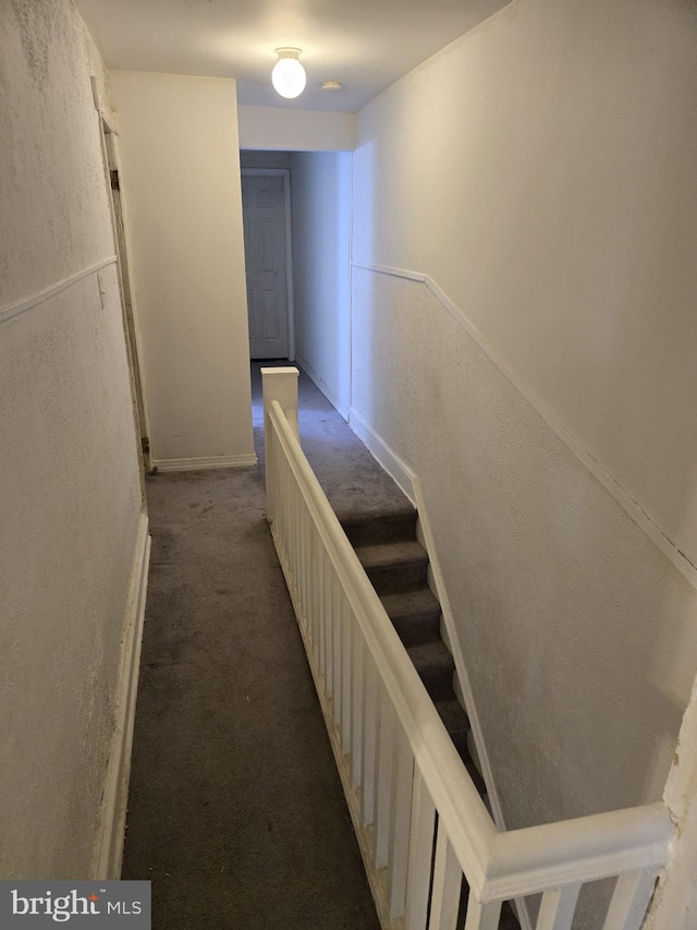 staircase featuring carpet flooring