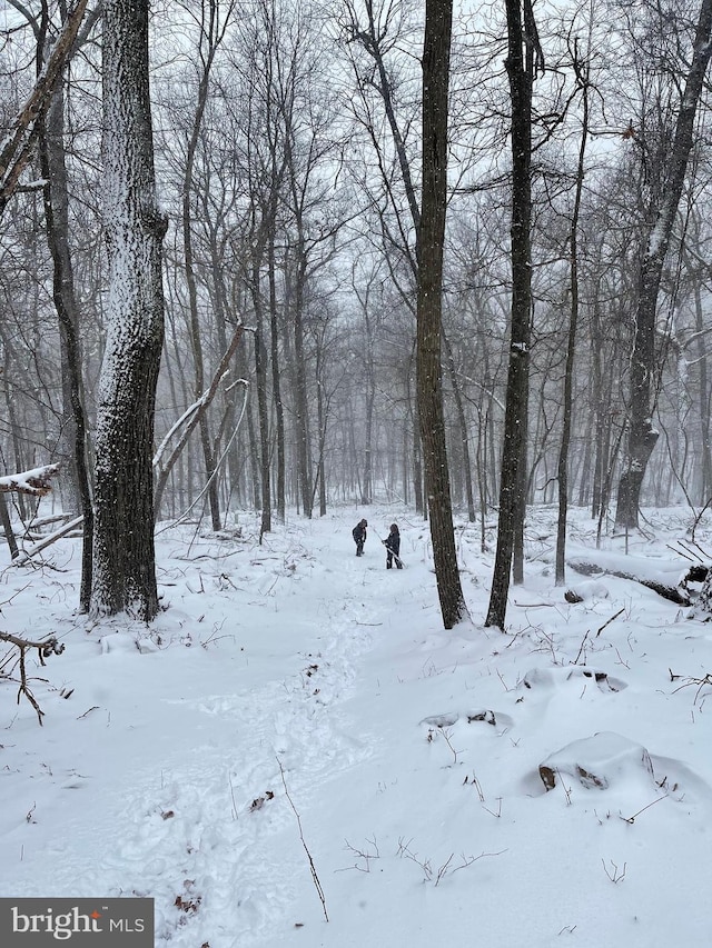 view of snow covered land