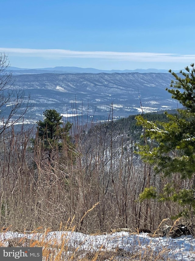 water view featuring a mountain view