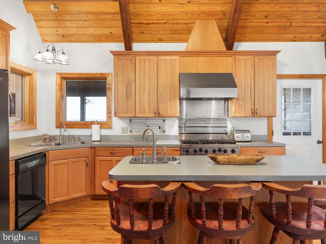 kitchen featuring dishwasher, stainless steel stove, range hood, light hardwood / wood-style flooring, and sink