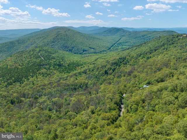 property view of mountains