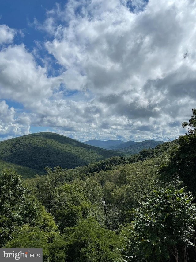 view of mountain feature