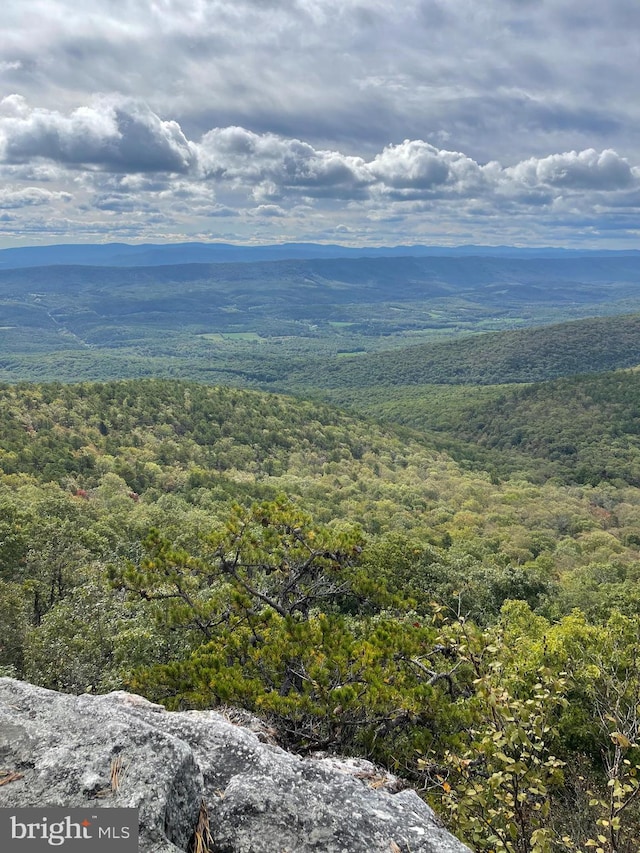 birds eye view of property featuring a mountain view