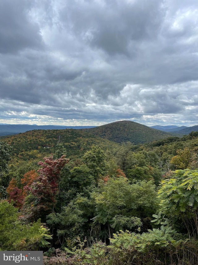 property view of mountains