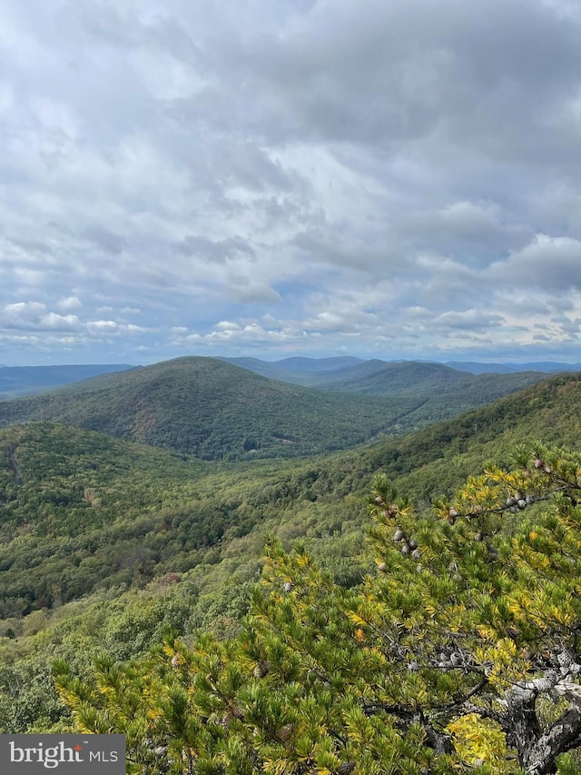 view of mountain feature