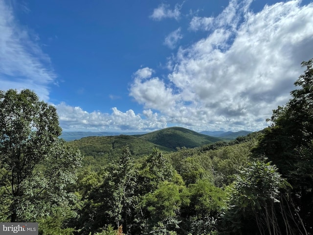 view of mountain feature