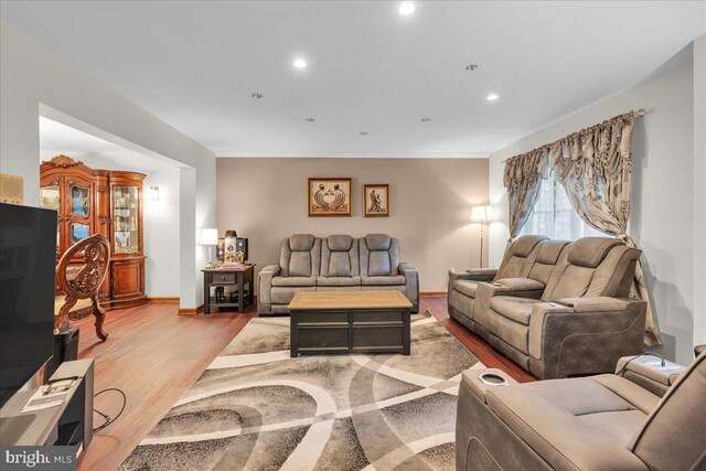 living room featuring hardwood / wood-style floors